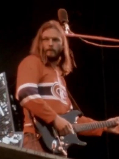 Pink Floyd: Live Performance of Animals at Knebworth