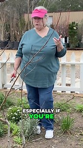 17K views · 29 reactions | Learn expert pruning tips to promote vigorous growth in your plants and avoid common mistakes. Whether you're a beginner or experienced gardener, this video will guide you on proper pruning techniques for healthy plants. #GardeningTips #PruningTechniques #HealthyPlants #GardenGrowth #PlantCare #ExpertGardening #GreenThumb #Gardening101 #PlantLovers #GardenInspiration | The Arbor Gate | Facebook