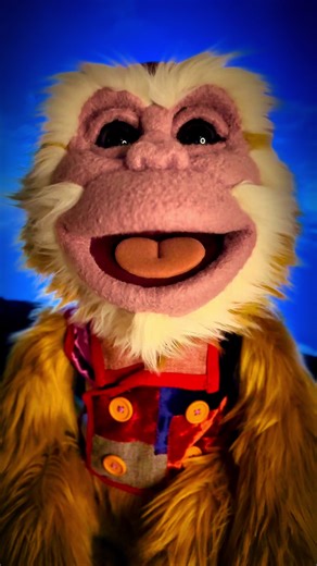 Understanding Success in Meditation: Key Percentages