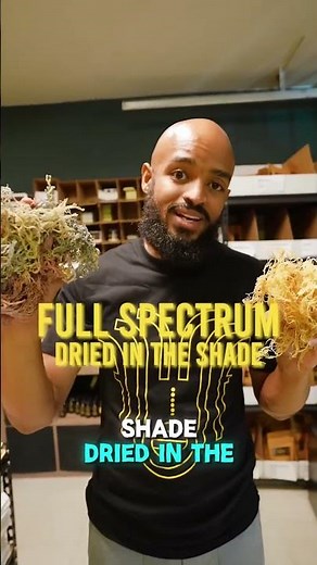 Golden vs Full Spectrum Seamoss | What’s the Difference?