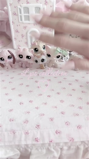Lps collection for those of you who asked ♡ #coquette #dollette #shabbychic #lps #littlestpetshop #lpscollection