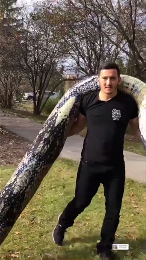 Real vs Pillow Giant Snake Anaconda Pillow | OMG Fear Mission Impossible