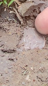 7.9K views · 37 reactions | Another found an old coin. #treasurehunt #oldcoin #metaldetecting | GO finder | Facebook