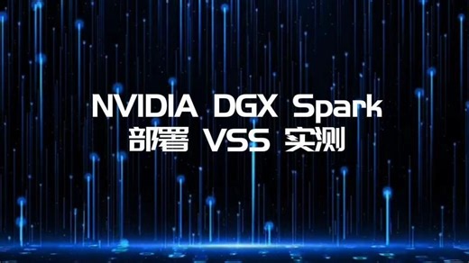 在DGX Saprk上部署VSS