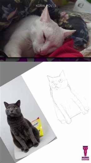 Drawing a cat