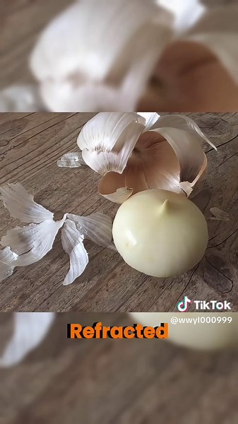 Exploring the Fascinating World of Mysteries and Creepy Facts