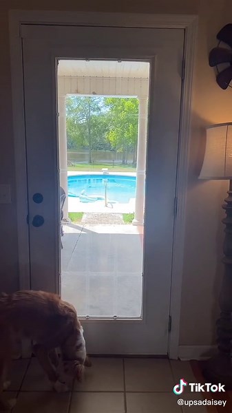 Easy DIY: Removing Plastic Grid from French Doors