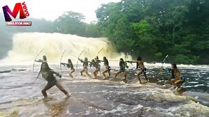 1.6K views · 49 reactions | TOADAS Deusas da Guerra" - Boi Caprichoso | Shaka Boom Dance | Facebook