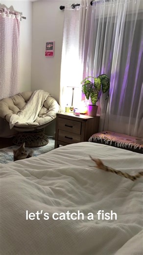 🐠🎣🐟🐈🐈‍⬛? moon go fissing #catsoftiktok