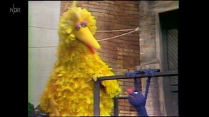 Wie viele Klimmzüge schaffst du? #fitness #motivation #bibo | Sesamstraße