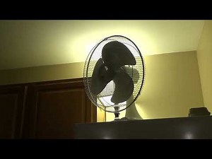 Lasko 2016 16" Oscillating Table/Desk Fan