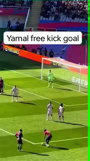 digital scanner on TikTok