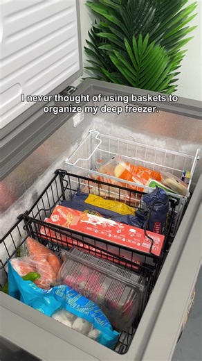 Freezer Organization Tips for a Clutter-Free Kitchen