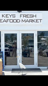 Keys Fresh Seafood Market 呂咽戀 Enjoy Florida Keys fresh seafood...