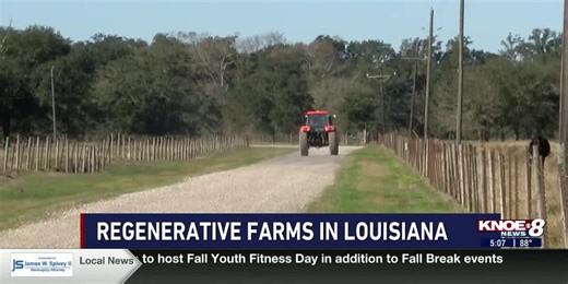 Louisiana farmers turn to regenerative methods for relief