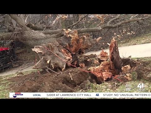 Merriam residents describe EF-0 tornado that uprooted trees, crushed home & truck
