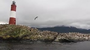 Scenic view by Catamaran, Beagle Channel #BeagleChannel #Catamarancruise #TBT #Throwback #SeabournQuest #Patagonia #Antarctica2013-14 | My Eyes My Camera
