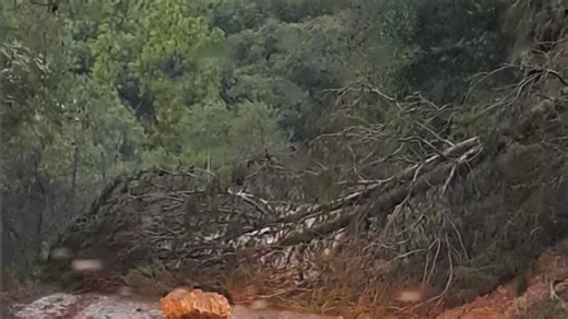 Casares convoca el Plan Local de Emergencia y vigila el desprendimiento de una ladera junto a viviendas