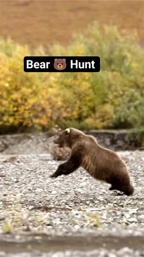 Bear Hunting Gone Wrong #bearhunting #hunting #huntingshorts