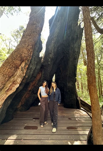 The Risks of Sharing Secrets Online