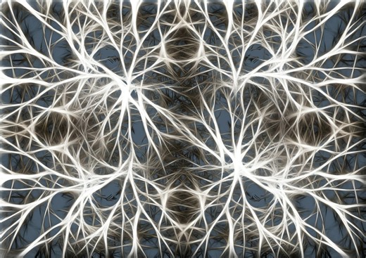 Memory Formation in the Brain and How Encoding and the Hippocampus Shape Long Term Storage