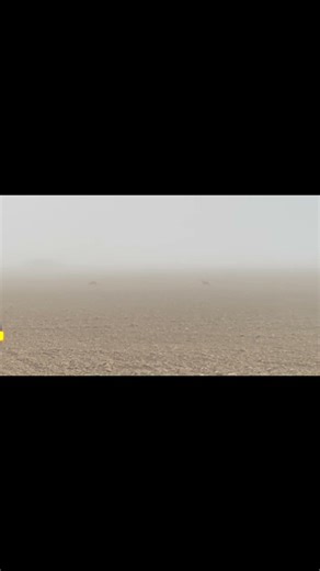 Nature always pretty