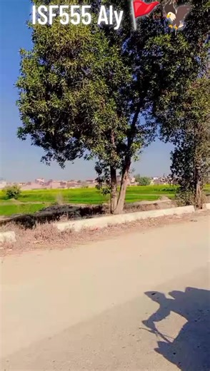 @️ ZAIN JUTT 🚩 @جٹ بادشاہ⛳ @🥷علی جٹ🦅 @Kami Gujjar 476 @ℛᎯℕᎯ 𒈞 ᎯℱTᎯℬ @Chohan🚩 @حمزہ بھٹہ🚬(ISF) @🔥🦅🖤💙Guجar 474آلا💙🖤🦅🔥🚫 @🦅Ali jutt🦅 @پل کانیاں آلہ @ISF group 555 sumandri @عثمان جٹ 469👑(I S F) @ISF 555 Samundri 🚩 @سرپرست اعلیٰ جنید بھٹی ISF ✌️ @🚩Chairman SUFYAN Ali🚩ISF_555 @چوھدری سانا گجر👑(ISF) @☠ 𝐇𝐚𝐦𝐳𝐚 𝐁𝐡𝐚𝐭𝐭𝐢 🤟