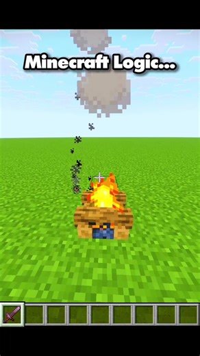 Follow for more…✌️#fyp #minecraft #logic #funny #viral