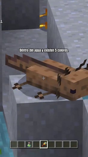 Todo sobre los ajolotes en Minecraft