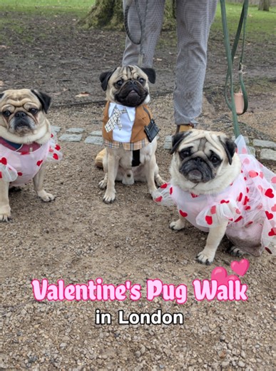 Cute Valentine's Outfits Showcase