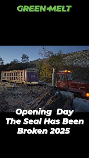 Brian Lewis on Reels