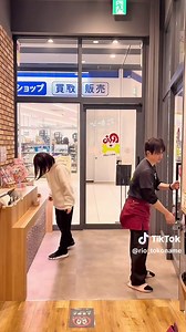 犬ネコカフェRioで非日常体験を楽しもう