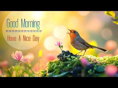 BEAUTIFUL MORNING MUSIC - Wake Up with Bright and Cheerful Spirit - Music for Meditation and Relax