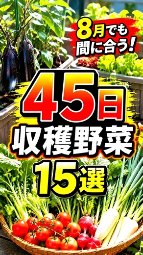 8月のプランター菜園！今からでも間に合う、45日で収穫できる野菜15種類と土の冷却法