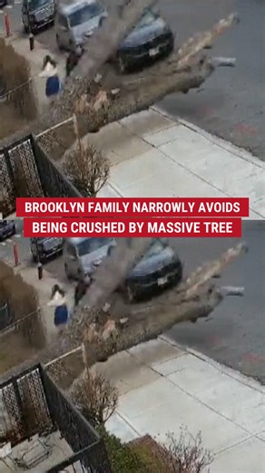 TIMBER! Dramatic footage captures the moment a family came within inches of getting squashed by a massive falling tree as they walked down a sidewalk in New York. | Fox News