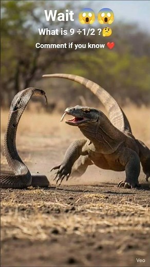 King Cobra vs Komodo Dragon 😱 | Nature’s Most Brutal Clash Ever