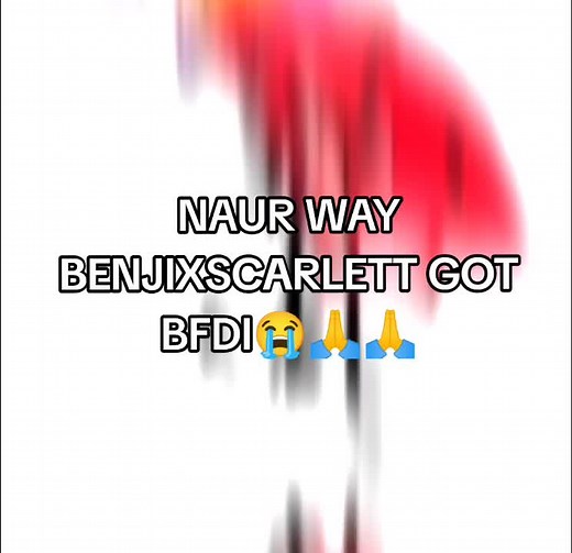 NAUR WAY - BFDI Virus