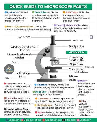 Unlock the secrets of the compound microscope with this quick, visual guide to its essential parts — from eyepiece to base. Perfect for biology students, science enthusiasts, and competitive exam aspirants, this infographic makes learning microscope anatomy simple, clear, and memorable. Boost your understanding, sharpen your focus, and see science like never before! #fblifestyle #MicroscopeParts #ScienceLearning #BiologyMadeEasy #StudyTipsForStudents #ExamPreparation | InfoPic Notes