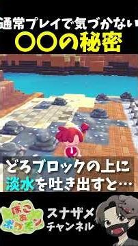 The secret of ○○ that you wouldn't notice in normal gameplay [Pocoa Pokemon PocoPoke Beginner's G...