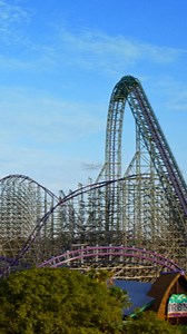Eat FREE when you buy a Busch Gardens ticket! More rides. More flavor. More fun. Hurry, offer ends soon! | Busch Gardens Tampa Bay