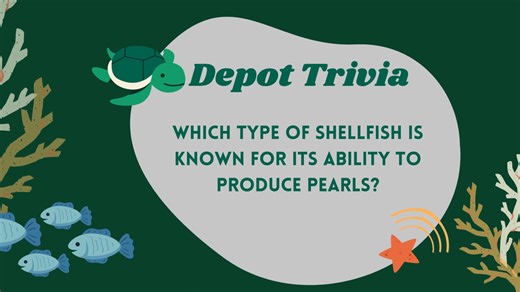 💎 Seafood Trivia Time! 🦪✨ Which type of shellfish is known for its ability to produce pearls? 🤔 A) Clams 🏖 B) Mussels 🌊 C) Oysters 🦪 D) Scallops 🍽 Drop your answer in the comments! ⬇ | The Depot Restaurant