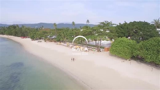 Rachel Shayler • Travel Counsellor on Instagram: "I wanted to share with you an incredible saving I’ve been offered for Koh Samui, Thailand. Book by 20th March for a saving of 35% plus 1 Set Dinner for 2 persons. SALA Samui Chaweng is a beautiful five‑star retreat offering a collection of luxurious pool suites and villas. Just a 10 minute drive from Koh Samui airport and set right on the powder‑soft white sands of North Chaweng Beach, it is only a five minute stroll from downtown Chaweng, Samui’