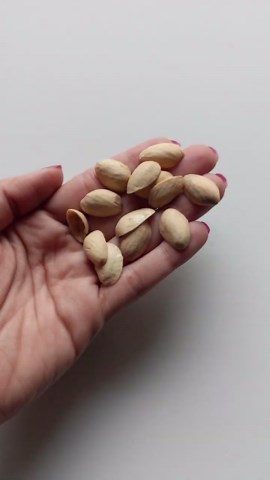 Transform pista shells into beautiful tulip planters – easy DIY