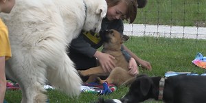 Midwest Access- Season’s Hospice: Pet Therapy