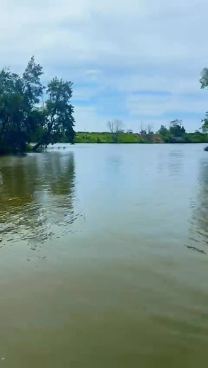 Lovely fit out of this big Noble Plate Boat with a Pair TZT-XL13” DFF3D TM54 , SS175HW SS175L . Blue Bottle Marine supplied all the FURUNO Products with Their installer Marine Install Solutions doing install. Sandeep (Furuno Acc Manager) our Main Man on the Ground for NSW & Vic doing the hand over with Customer 👌 Watch this space for a few more upgrades coming to this vessel very soon . Demand The Best Furuno | Furuno Fishing Fanatics