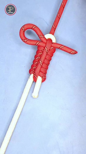 How to tie knots rope ep853 #diy #reelsfb #reelsviral #diy #knots #reels #trending #trend #viral #reelsvideo #howto #reelsinstagram #trendingreels #trendingnow #video #creative #craft #viralvideo #viralreels | The Tricks