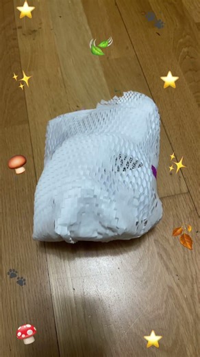 THANK YOU FOR 10 ORDERS!!