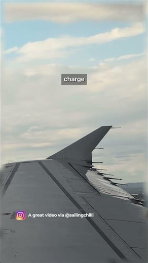 Flying Free of Charge! (Airbus Wing Mounted Static Wicks EXPLAINED)