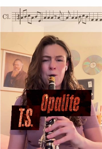 Opalite by Taylor Swift Clarinet Cover #clarinet #taylorswift #opalite #cover #musician