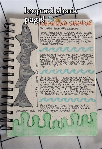 Leopard Shark Insights in Marine Biology Journal